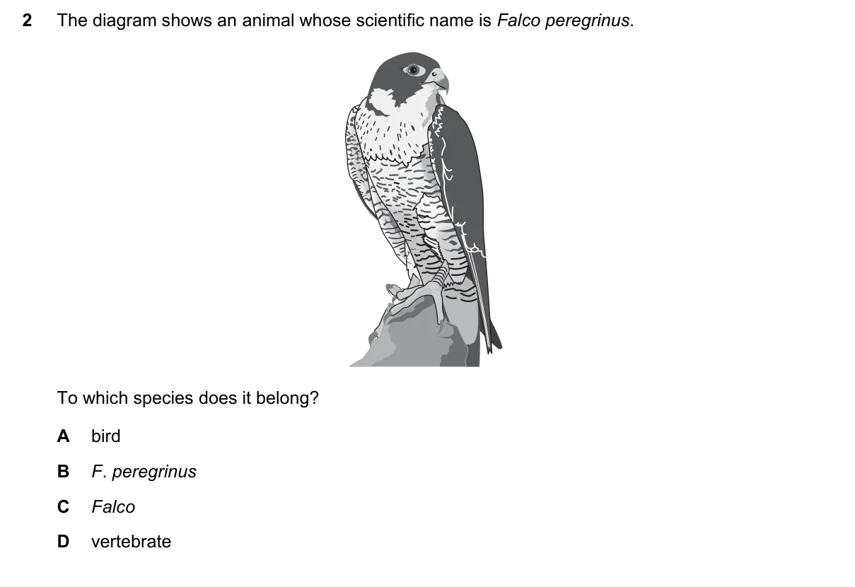 Question 2, June 2018, 0610 Paper 23
