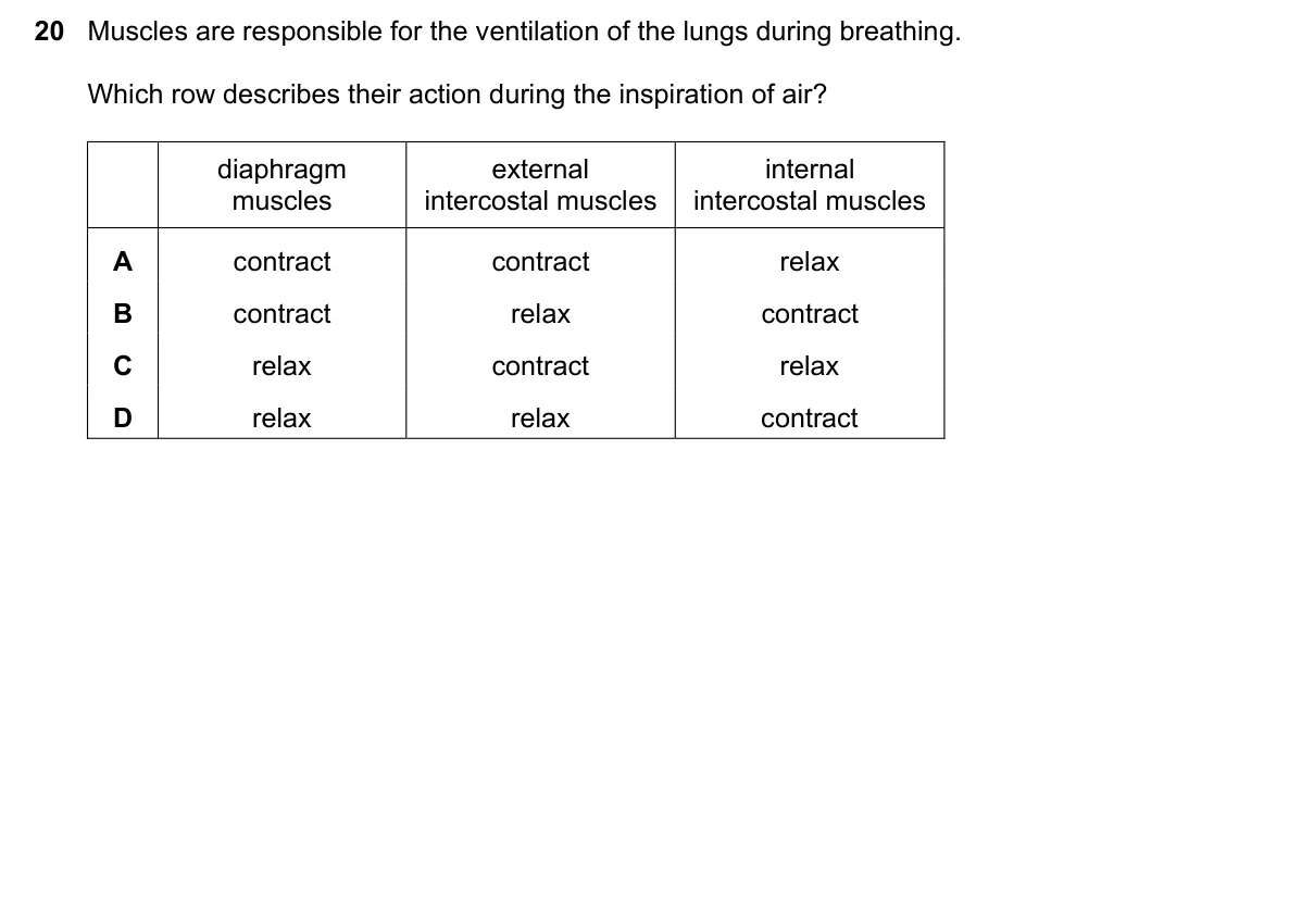 Question 20, June 2018, 0610 Paper 23