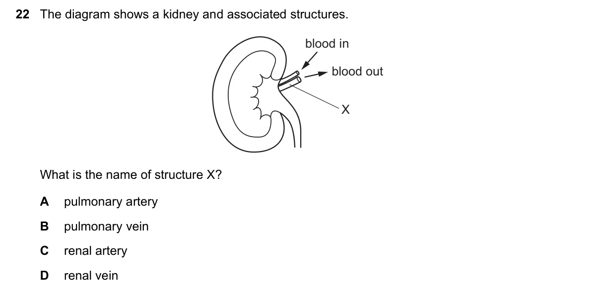 Question 22, June 2018, 0610 Paper 23