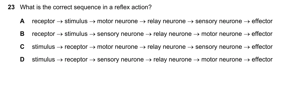 Question 23, June 2018, 0610 Paper 23