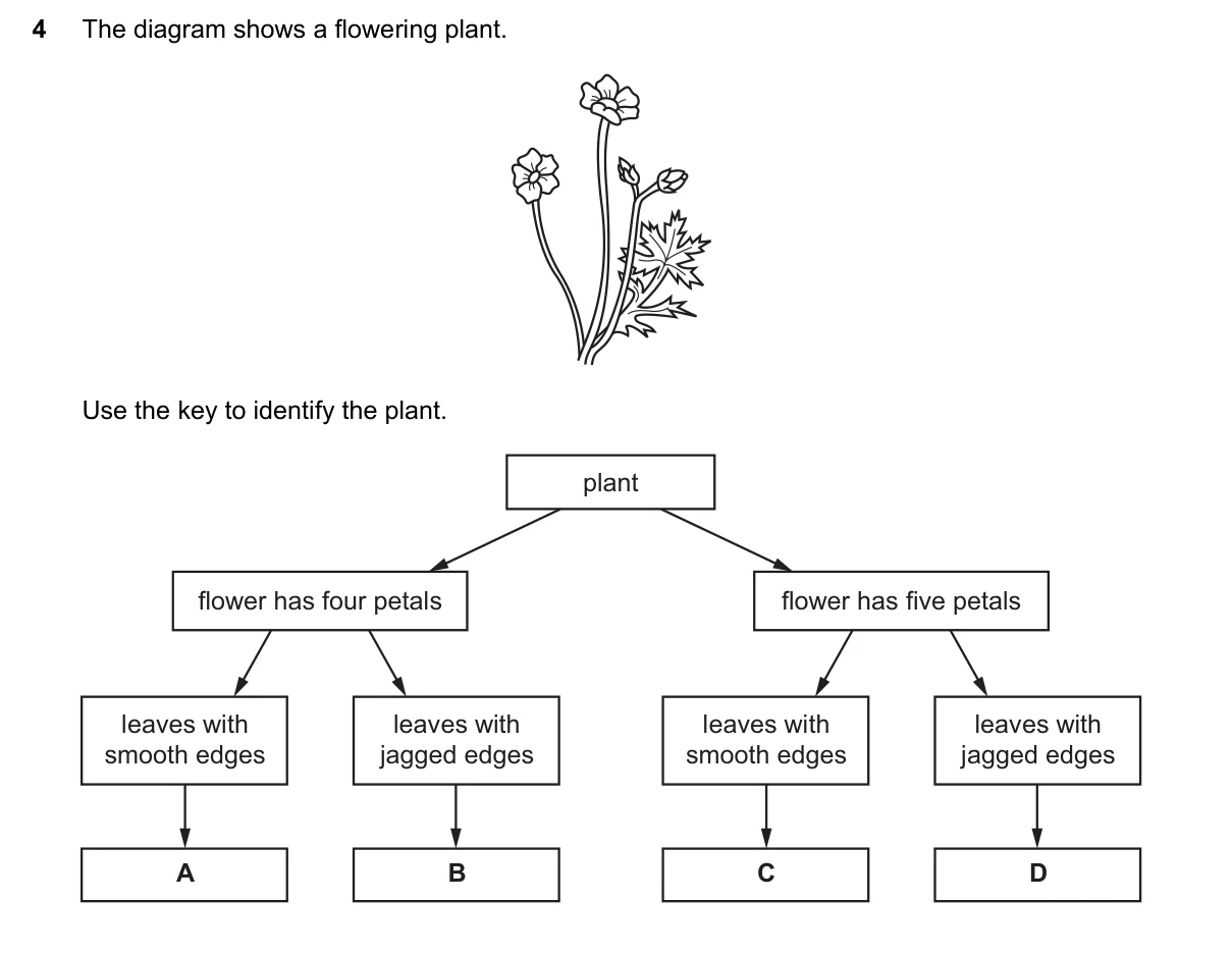 Question 4, June 2018, 0610 Paper 23