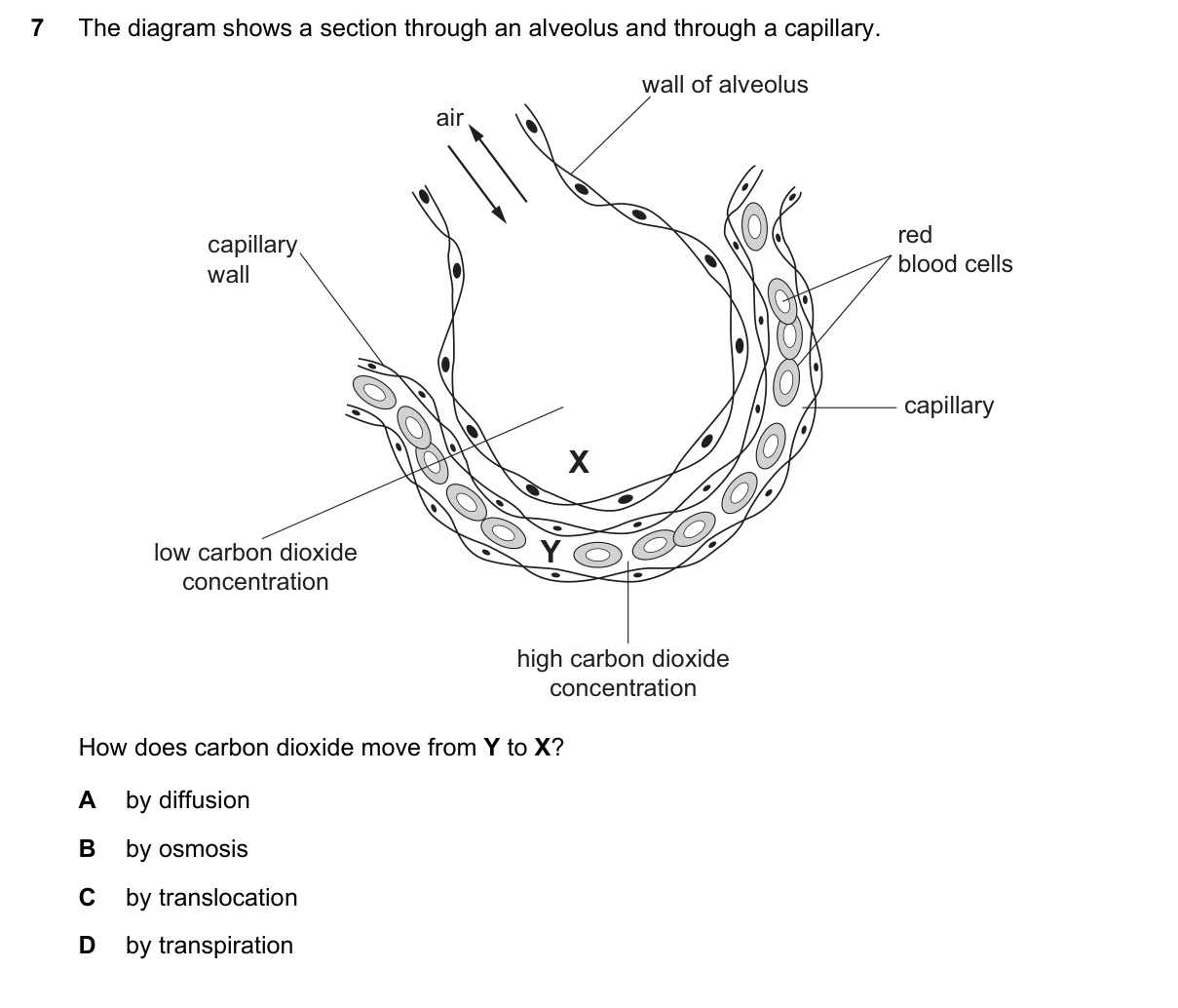 Question 7, June 2018, 0610 Paper 23
