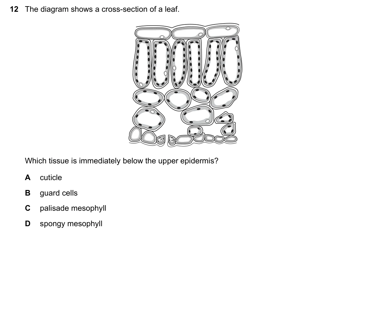 Question 12, November 2018, 0610 Paper 11