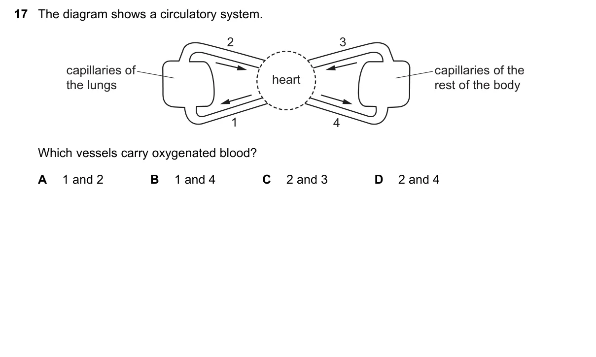 Question 17, November 2018, 0610 Paper 11