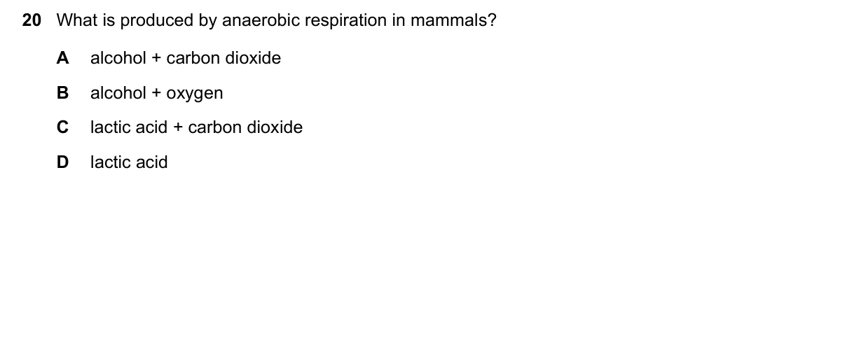 Question 20, November 2018, 0610 Paper 11