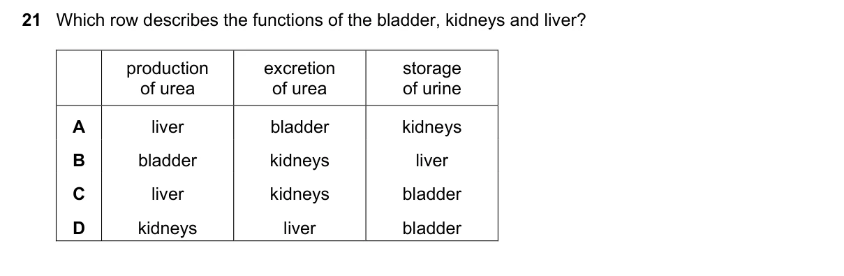 Question 21, November 2018, 0610 Paper 11
