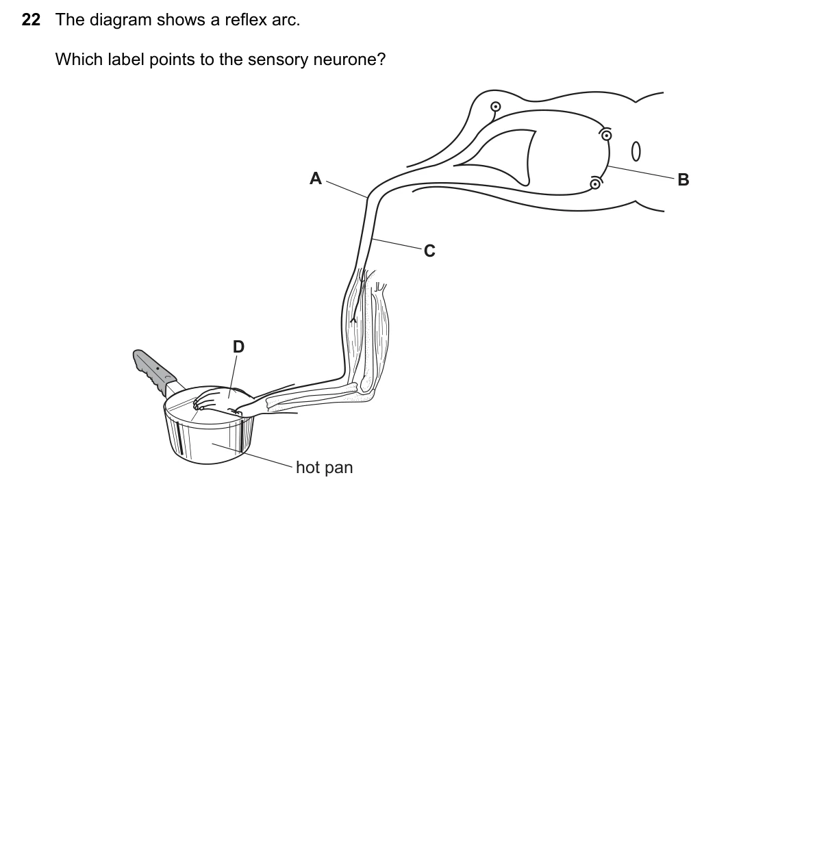 Question 22, November 2018, 0610 Paper 11