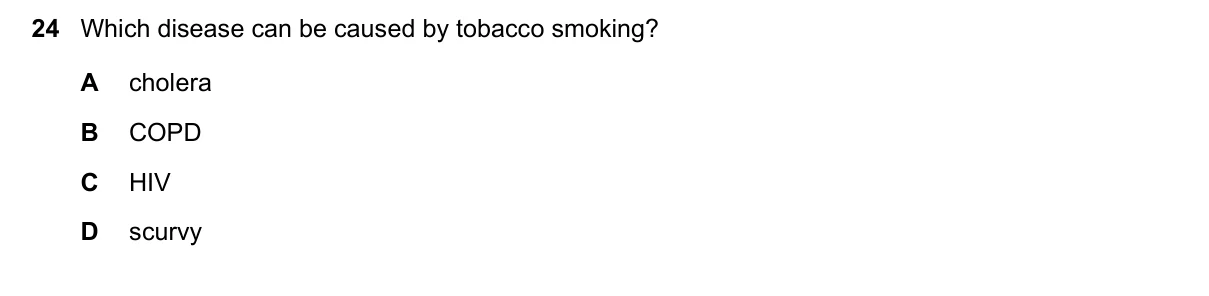 Question 24, November 2018, 0610 Paper 11