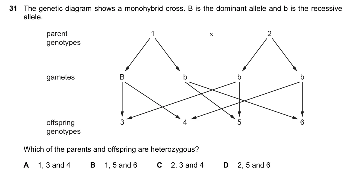 Question 31, November 2018, 0610 Paper 11