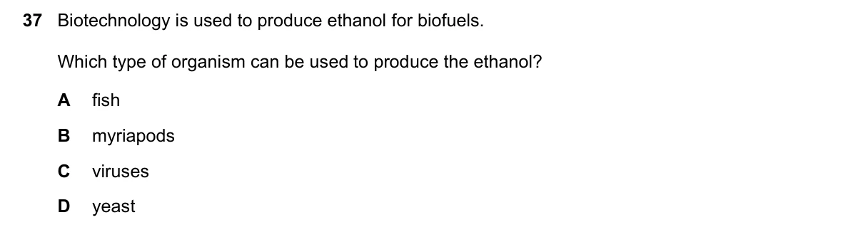 Question 37, November 2018, 0610 Paper 11
