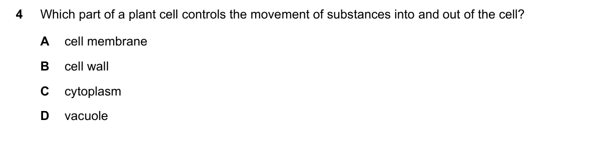 Question 4, November 2018, 0610 Paper 11