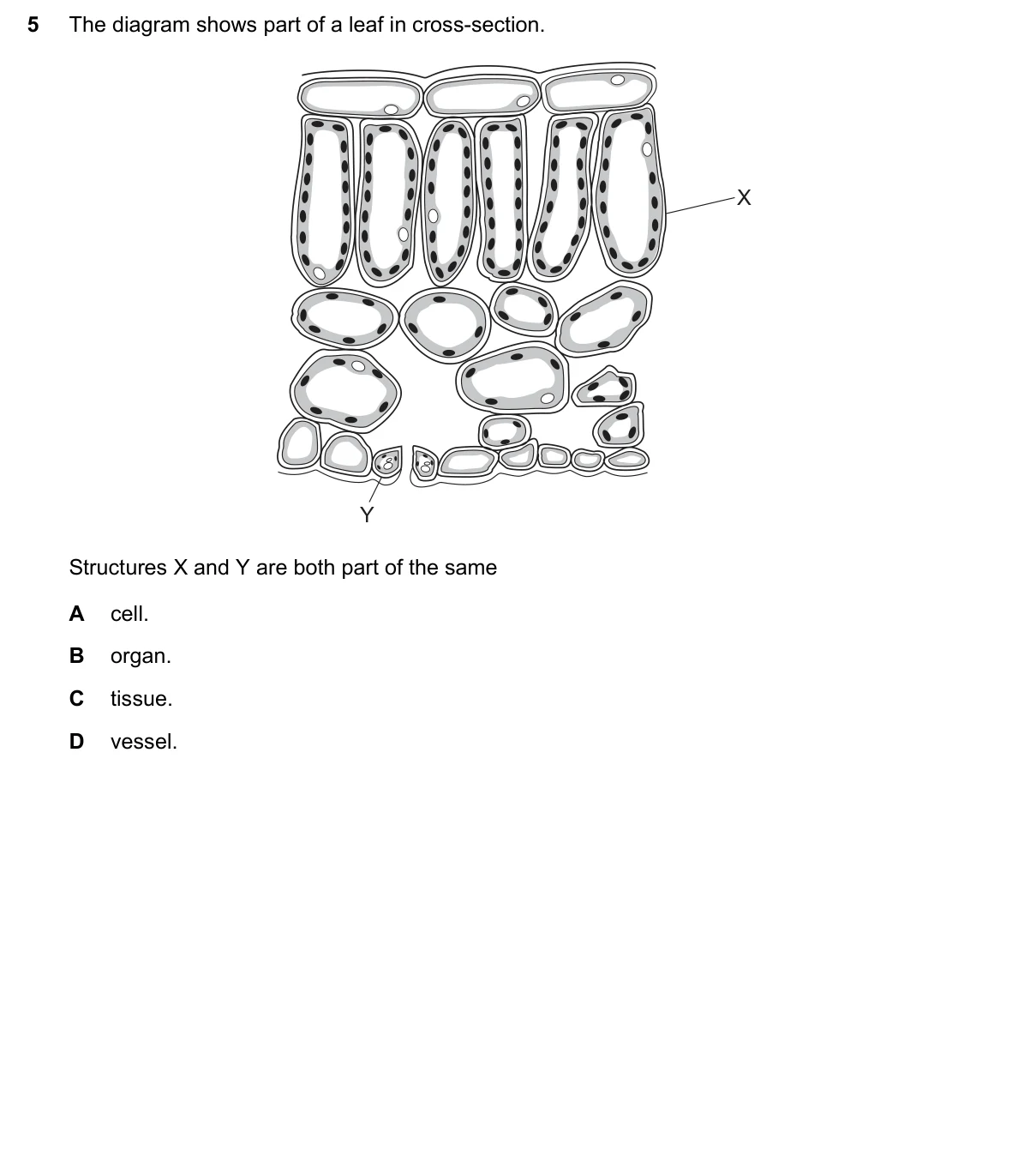 Question 5, November 2018, 0610 Paper 11