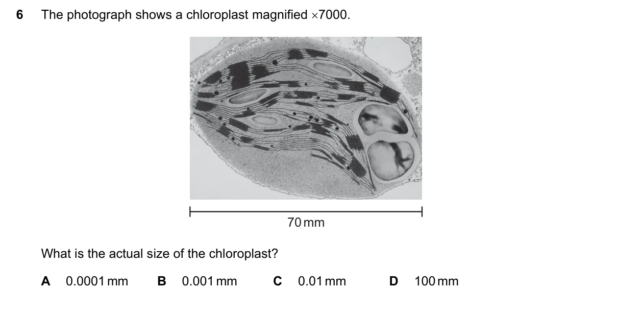 Question 6, November 2018, 0610 Paper 11
