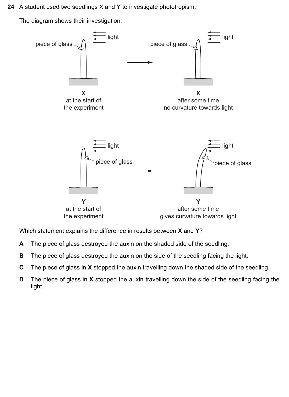 Question 24, November 2018, 0610 Paper 21