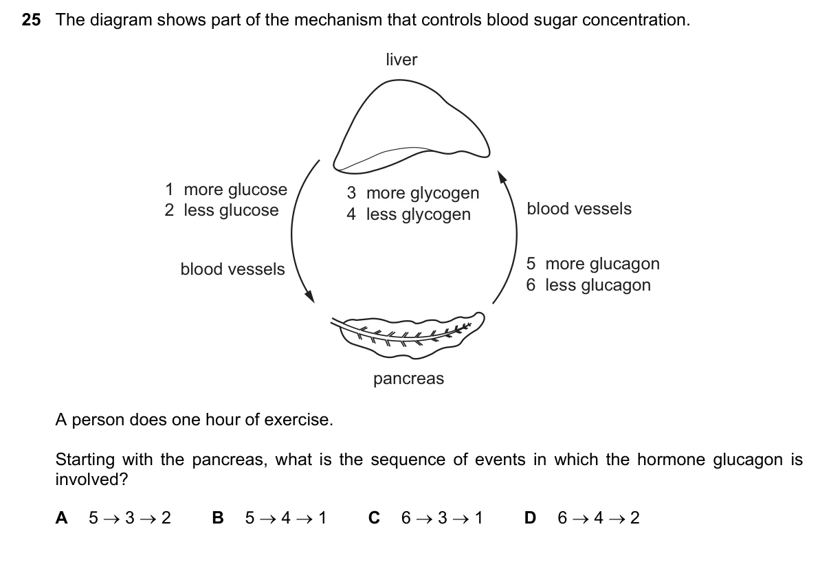 Question 25, November 2018, 0610 Paper 21