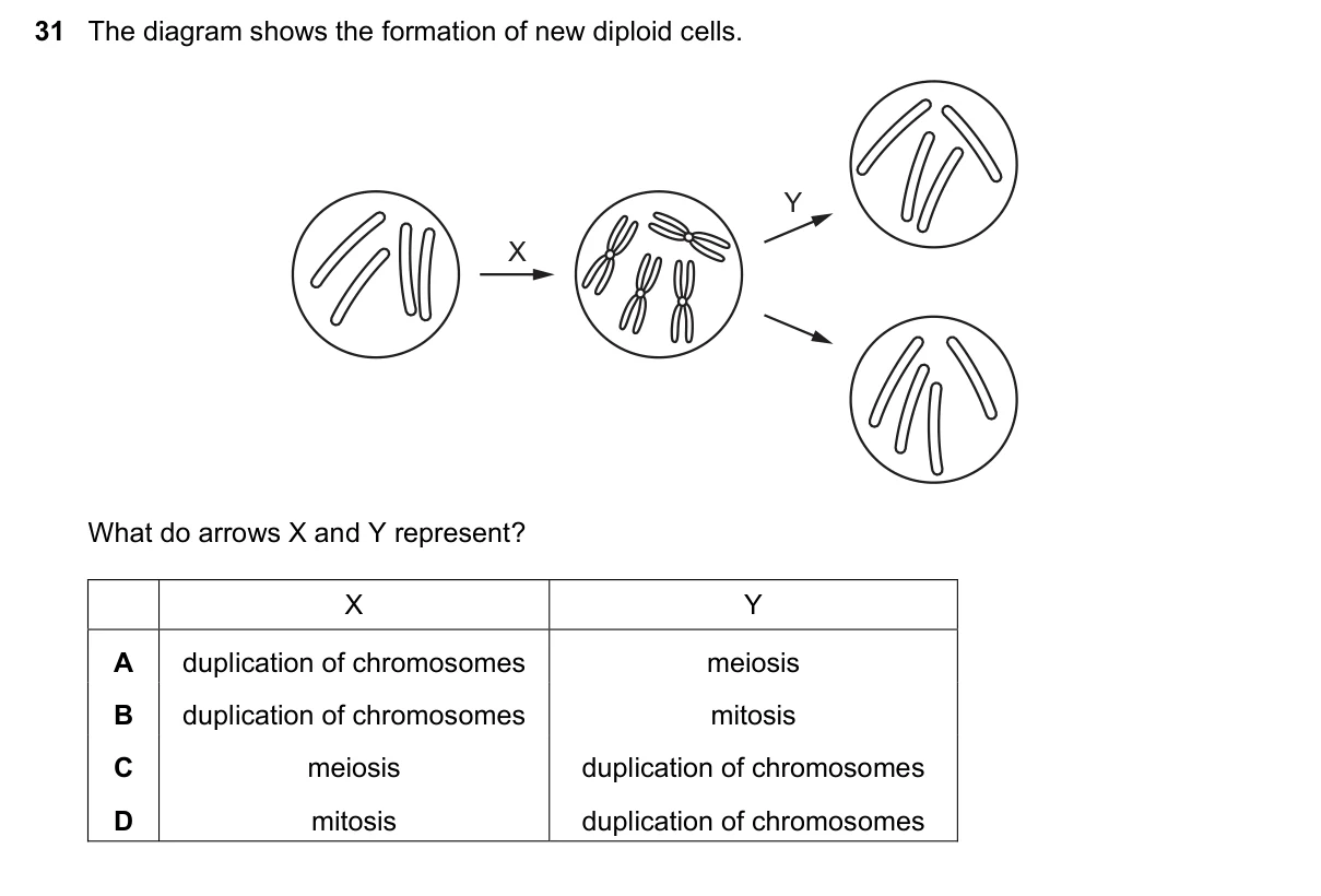 Question 31, November 2018, 0610 Paper 21