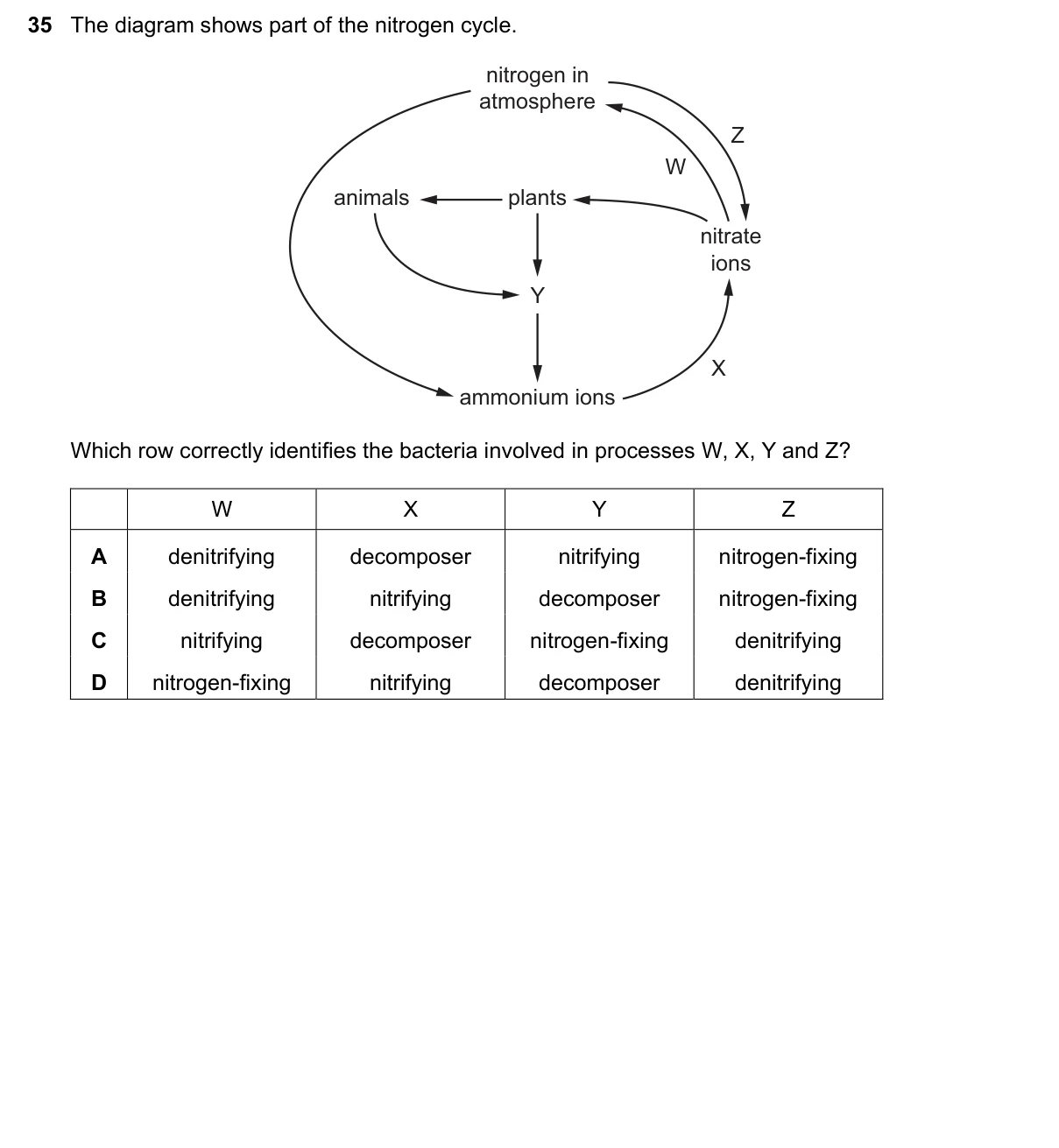 Question 35, November 2018, 0610 Paper 21