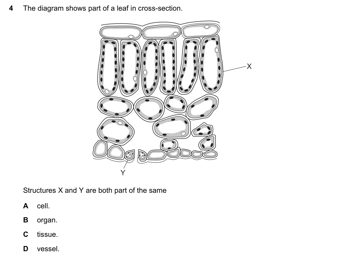 Question 4, November 2018, 0610 Paper 21