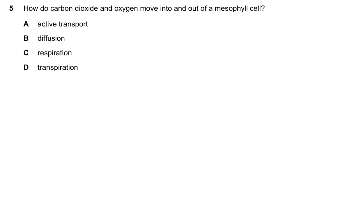 Question 5, November 2018, 0610 Paper 21