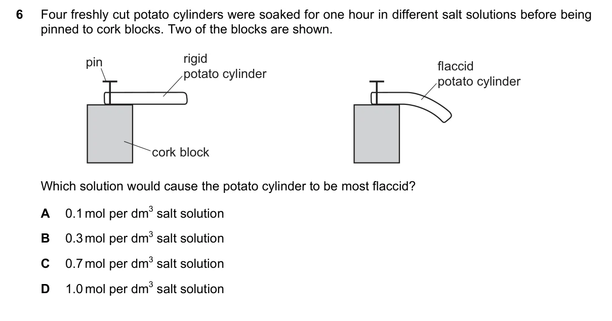 Question 6, November 2018, 0610 Paper 21