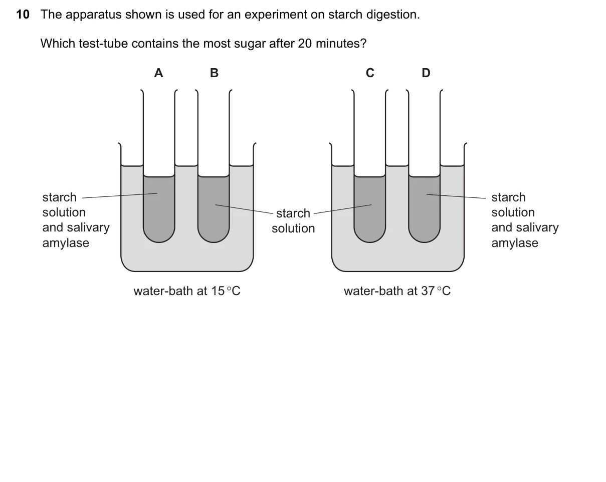 Question 10, November 2018, 0610 Paper 12