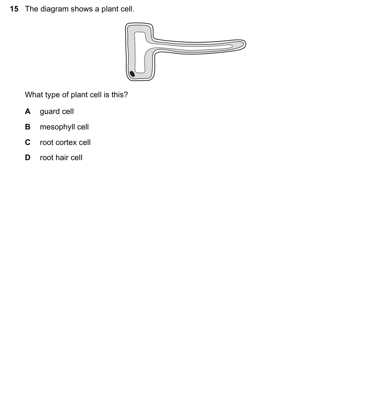 Question 15, November 2018, 0610 Paper 12