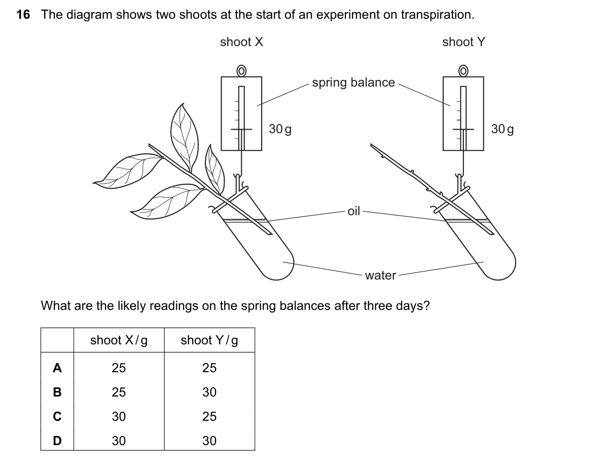 Question 16, November 2018, 0610 Paper 12