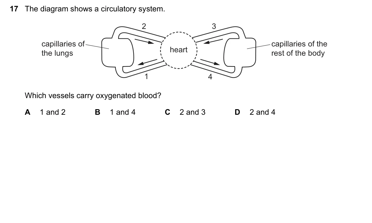 Question 17, November 2018, 0610 Paper 12