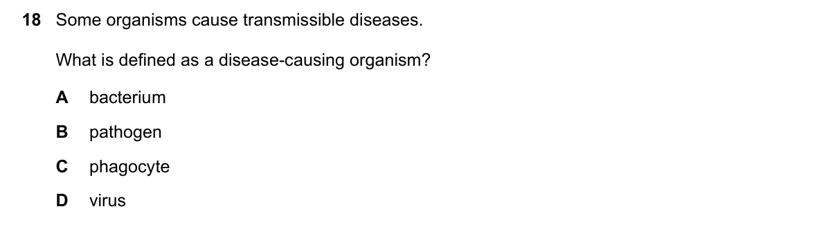 Question 18, November 2018, 0610 Paper 12