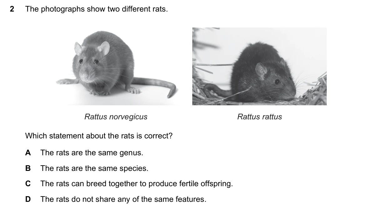 Question 2, November 2018, 0610 Paper 12