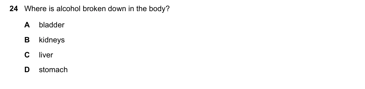 Question 24, November 2018, 0610 Paper 12