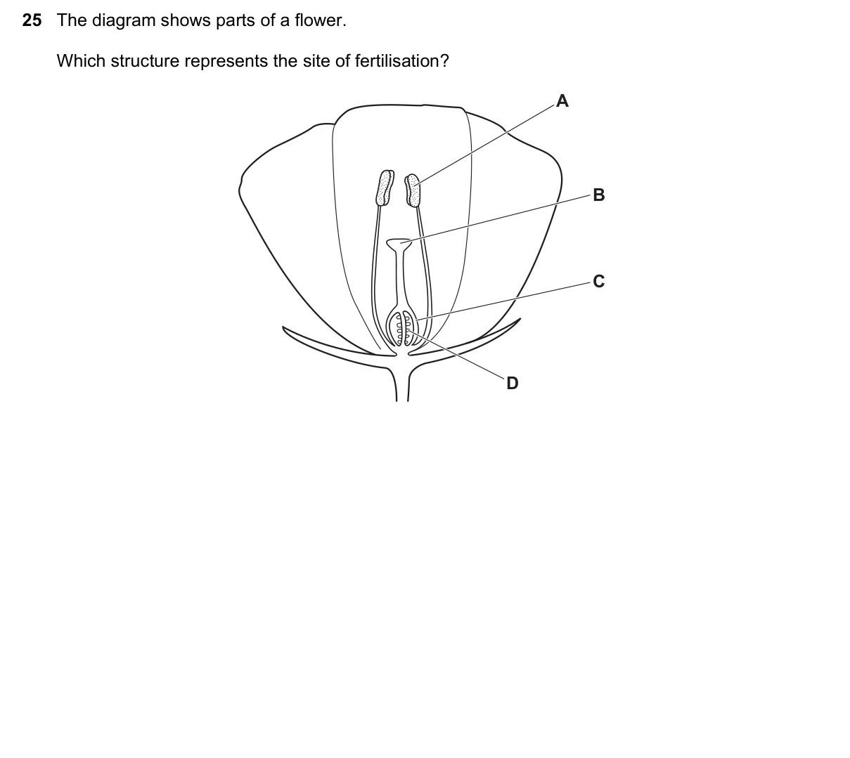 Question 25, November 2018, 0610 Paper 12