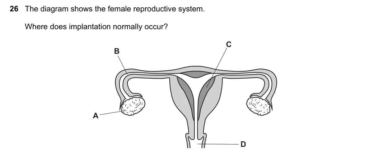 Question 26, November 2018, 0610 Paper 12