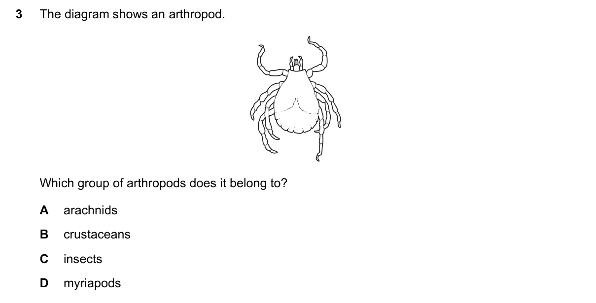 Question 3, November 2018, 0610 Paper 12