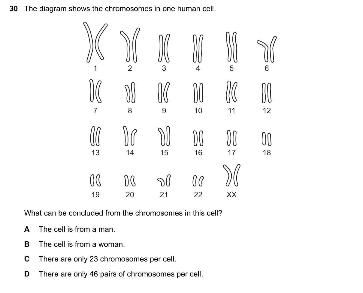 Question 30, November 2018, 0610 Paper 12