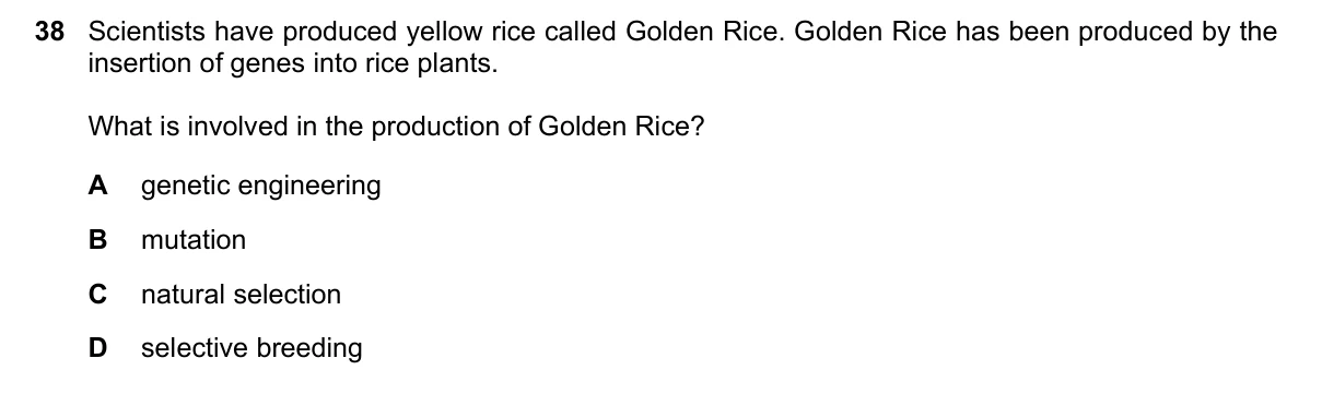 Question 38, November 2018, 0610 Paper 12