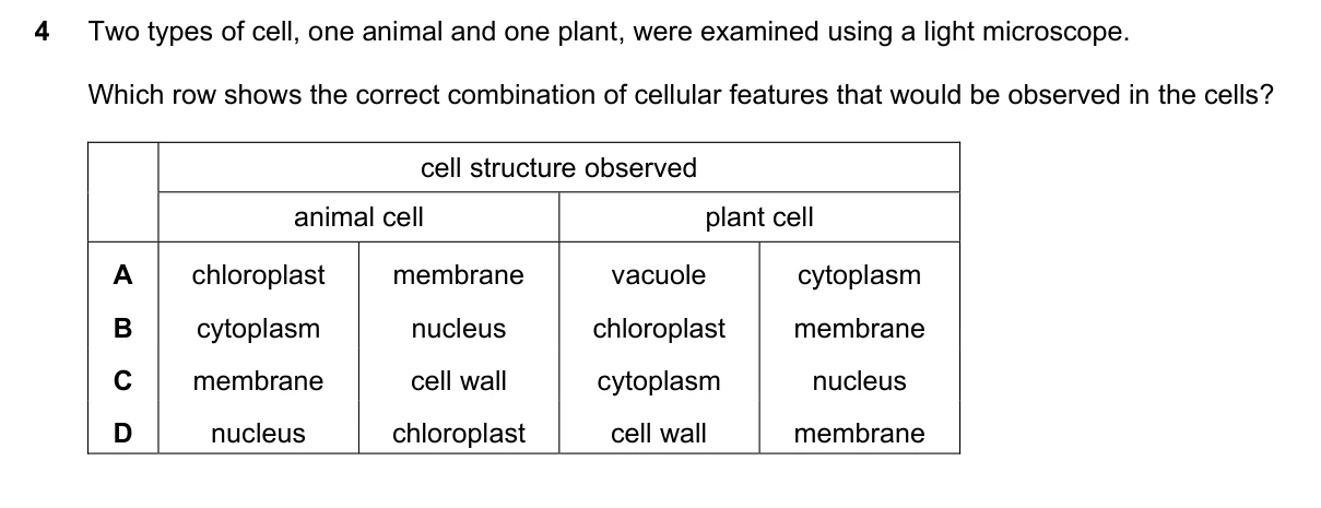 Question 4, November 2018, 0610 Paper 12