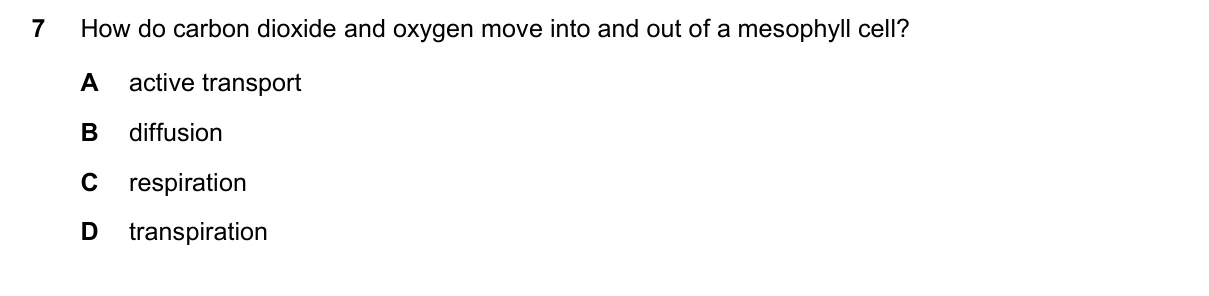 Question 7, November 2018, 0610 Paper 12