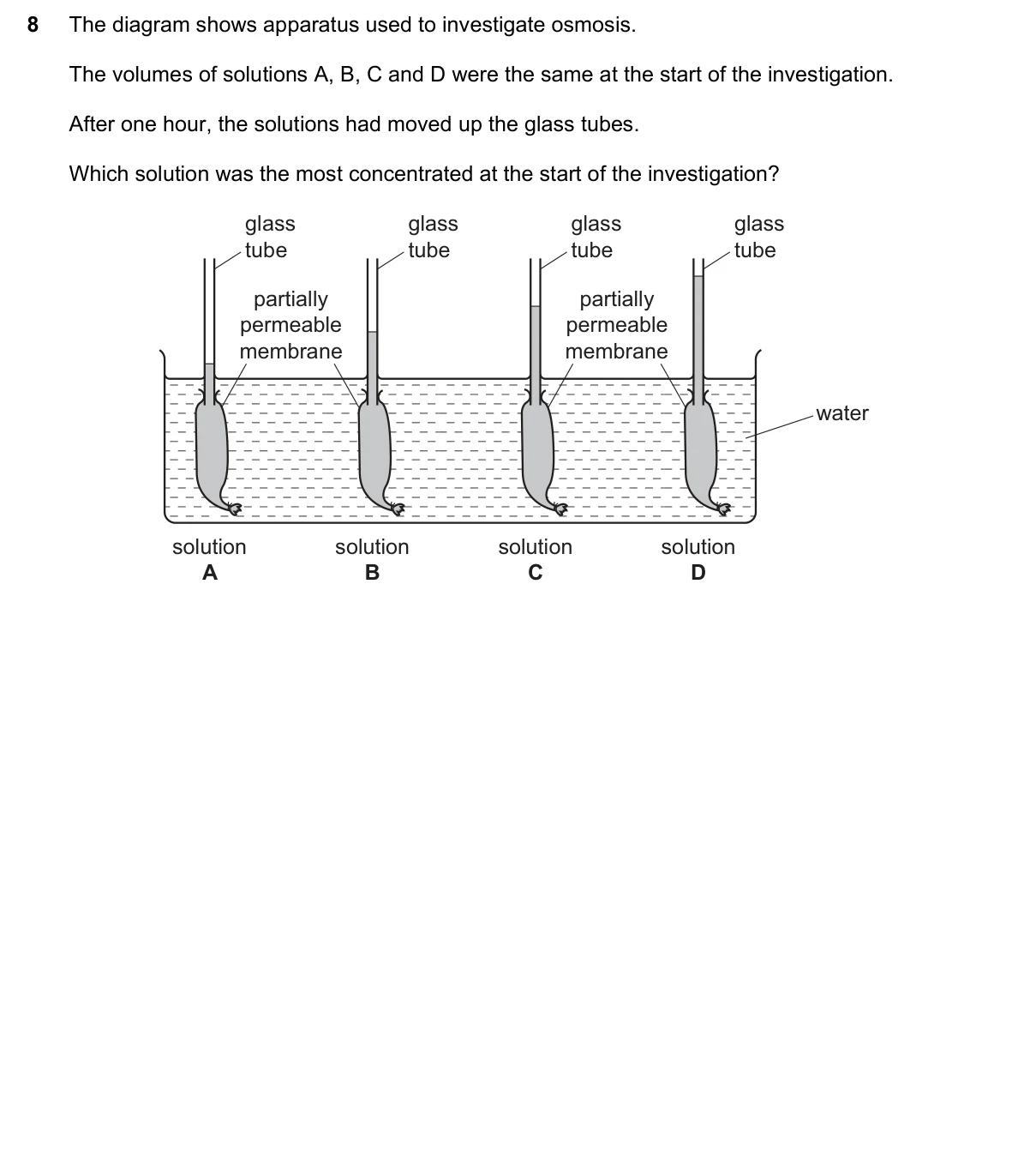 Question 8, November 2018, 0610 Paper 12