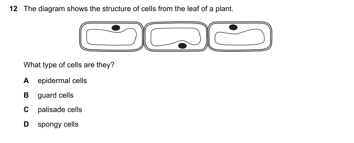 Question 12, November 2018, 0610 Paper 22