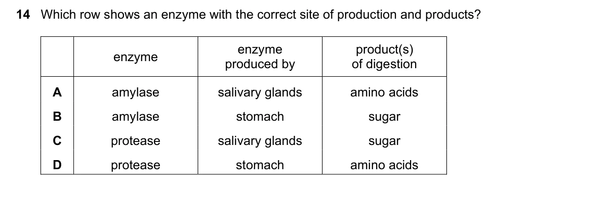 Question 14, November 2018, 0610 Paper 22