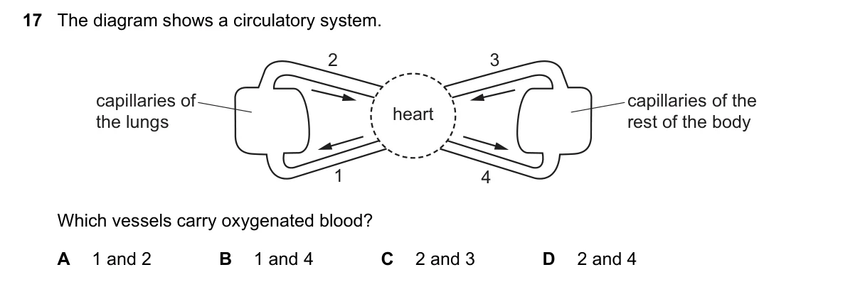 Question 17, November 2018, 0610 Paper 22