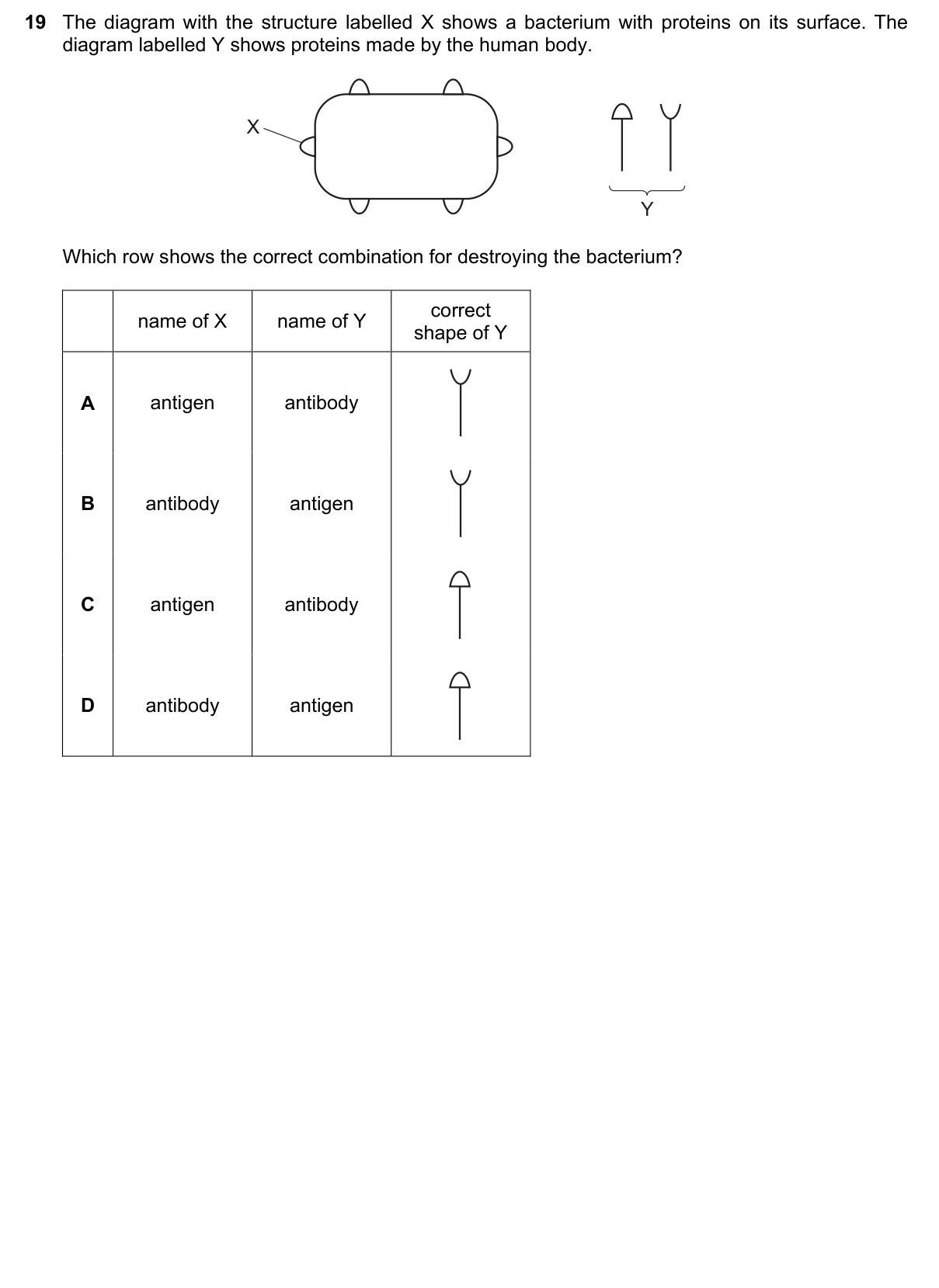 Question 19, November 2018, 0610 Paper 22