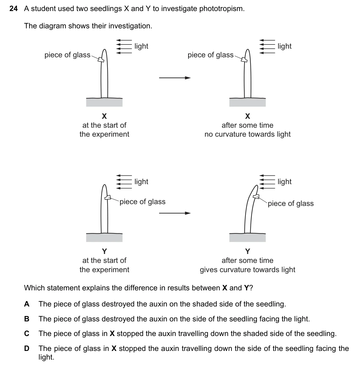 Question 24, November 2018, 0610 Paper 22