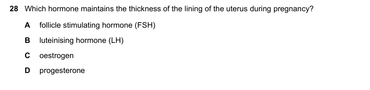Question 28, November 2018, 0610 Paper 22