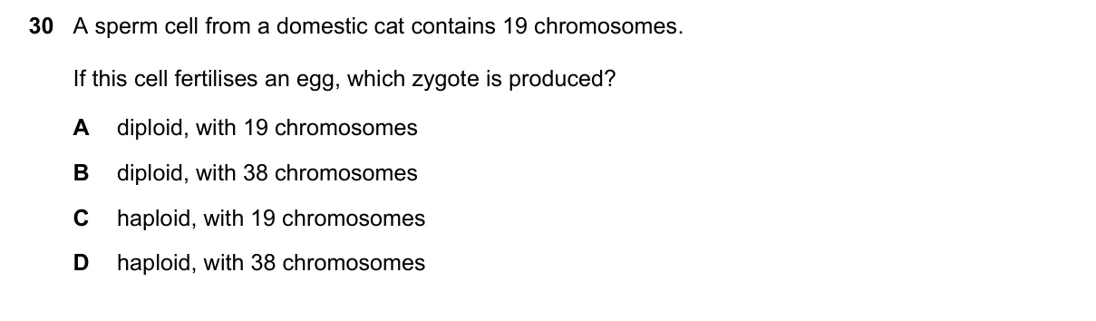 Question 30, November 2018, 0610 Paper 22