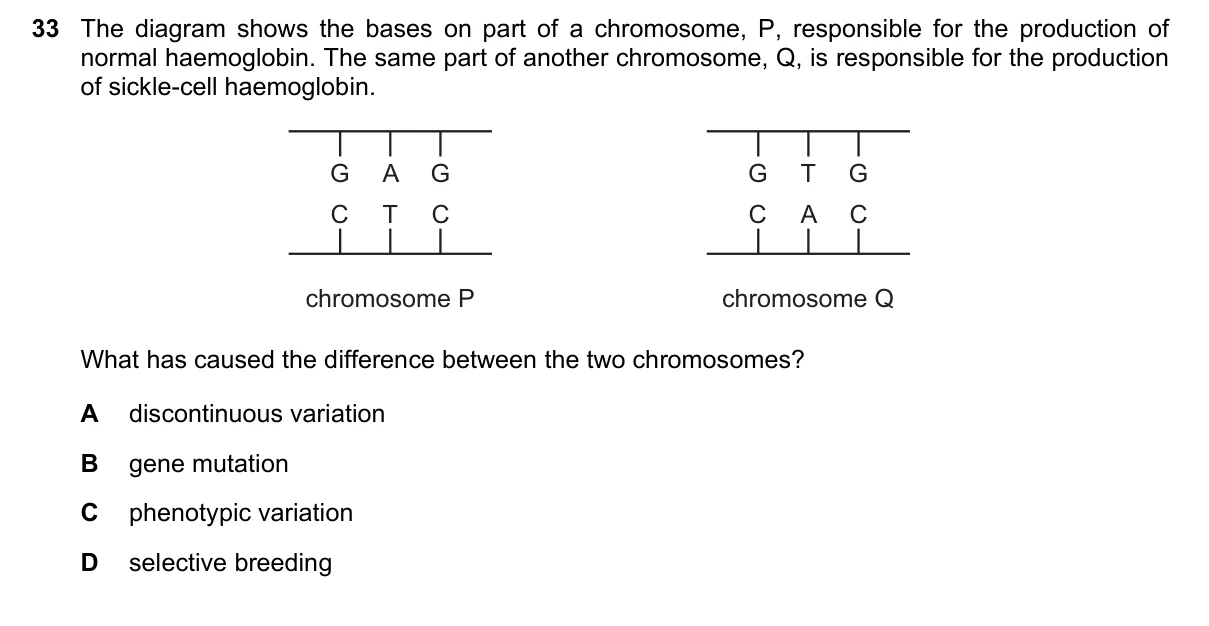 Question 33, November 2018, 0610 Paper 22