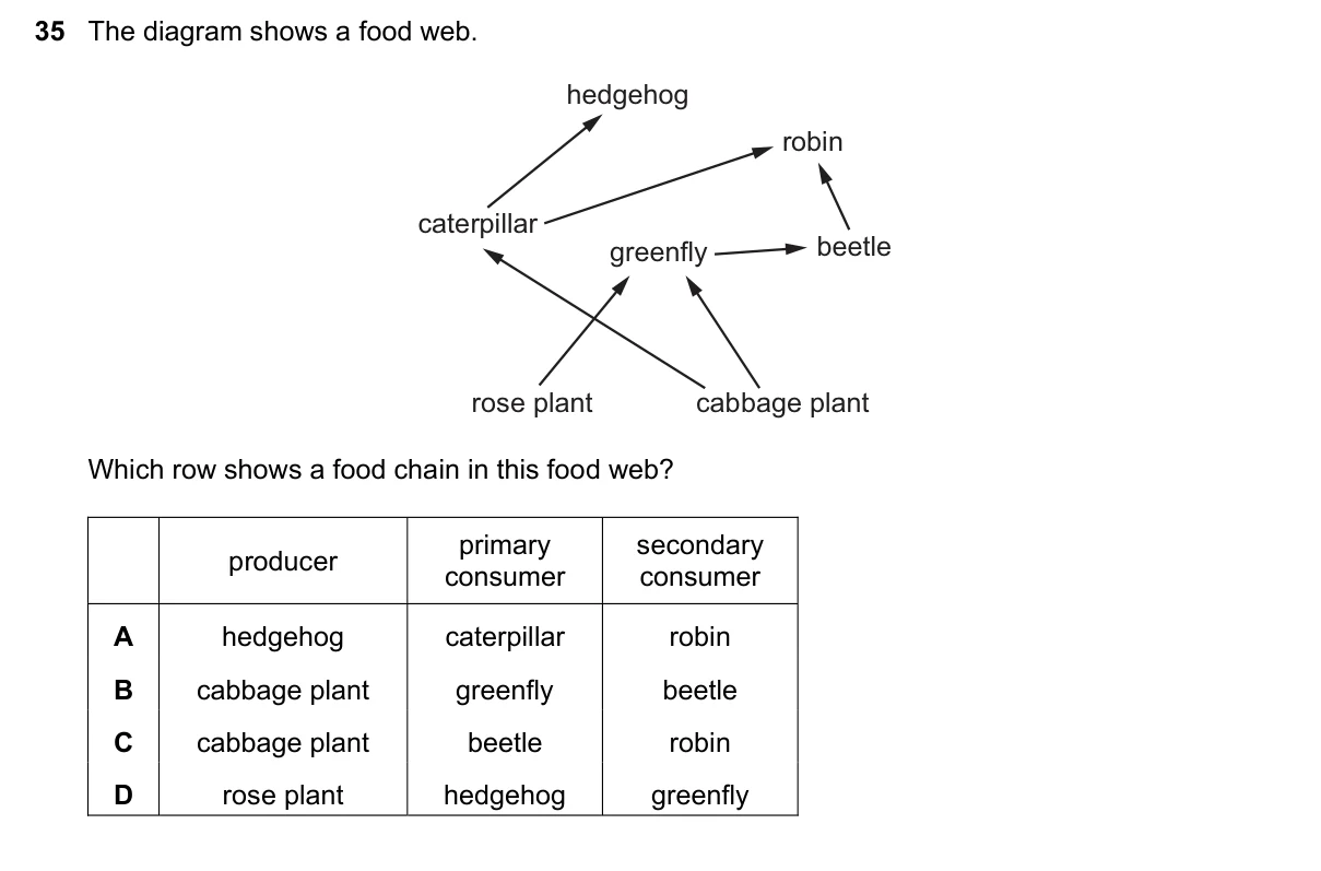 Question 35, November 2018, 0610 Paper 22