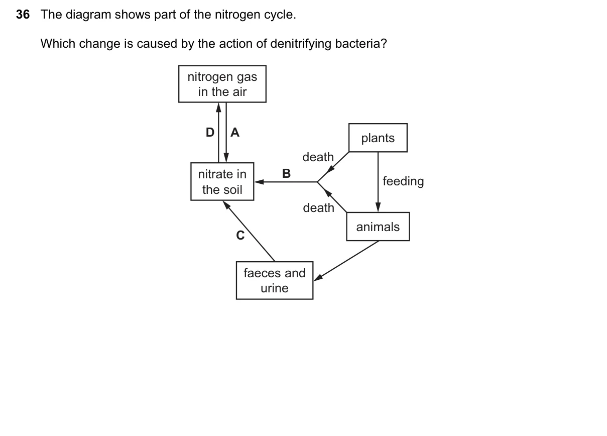 Question 36, November 2018, 0610 Paper 22