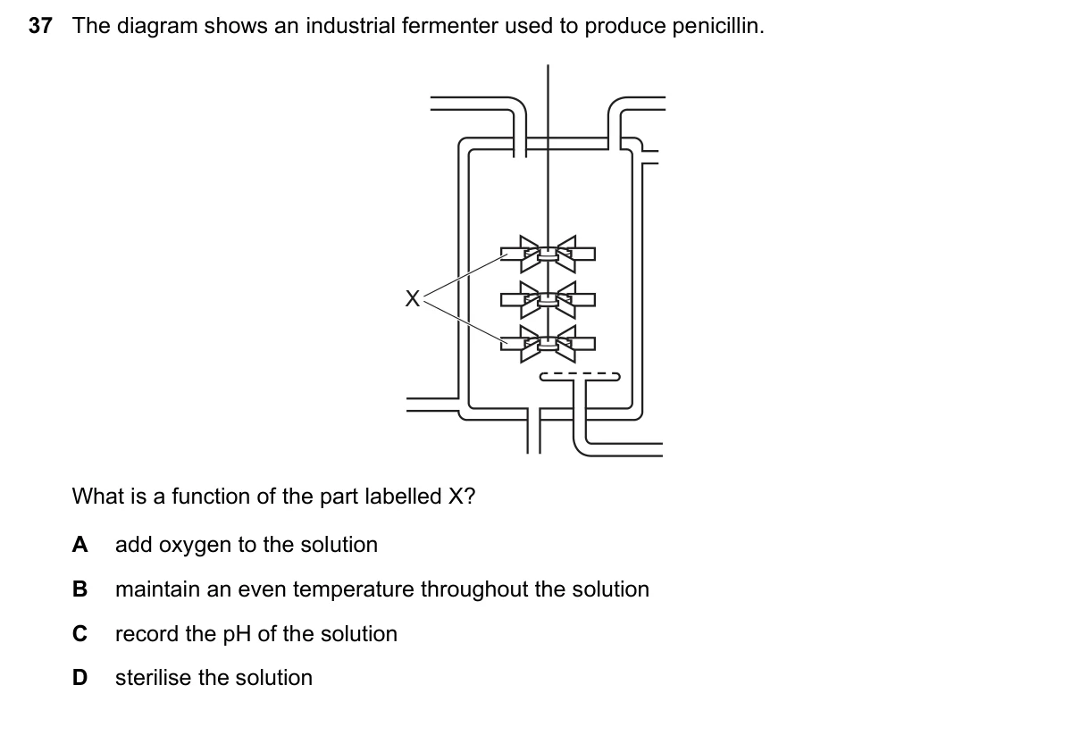 Question 37, November 2018, 0610 Paper 22